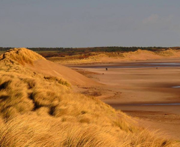 save druridge report handed in
