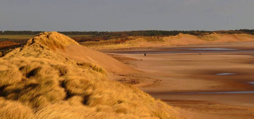 save druridge report handed in
